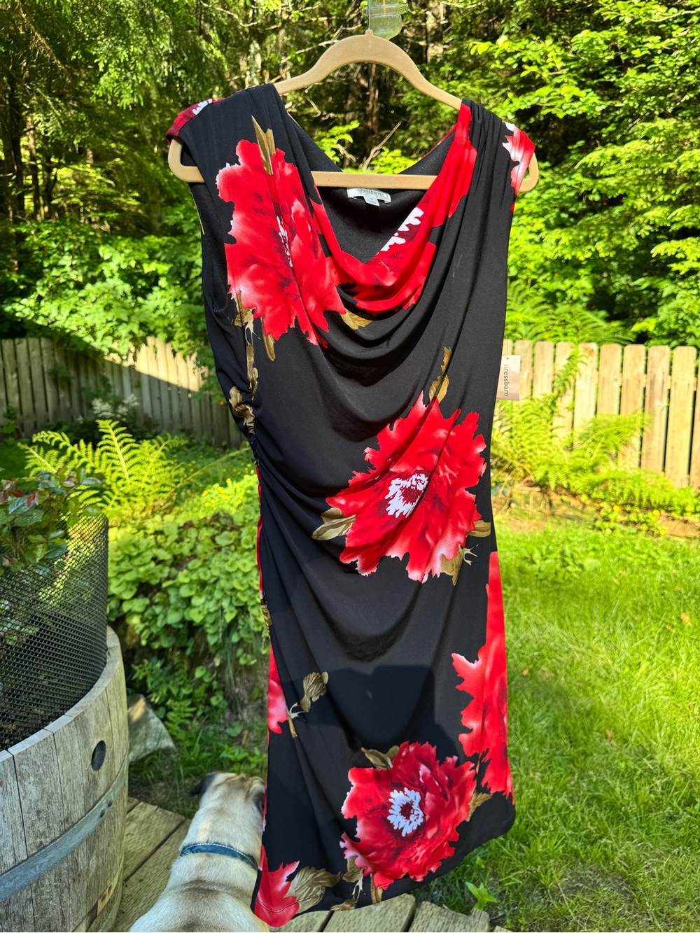 Dress Barn Black Midi Dress with Red Floral Print - Picture 2 of 7
